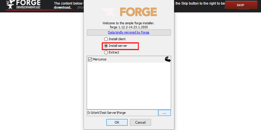 Server location on the Forge Installer.