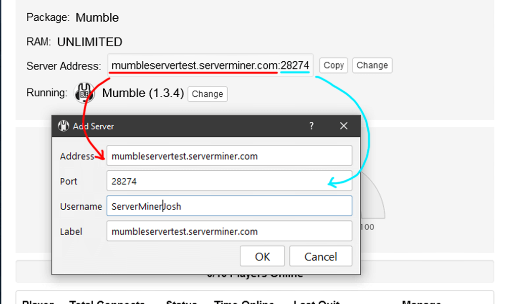Enter the values found on the server into mumble